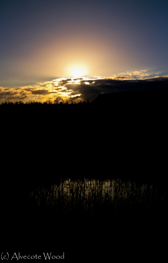 Sunset over Betty's Wood Ponds